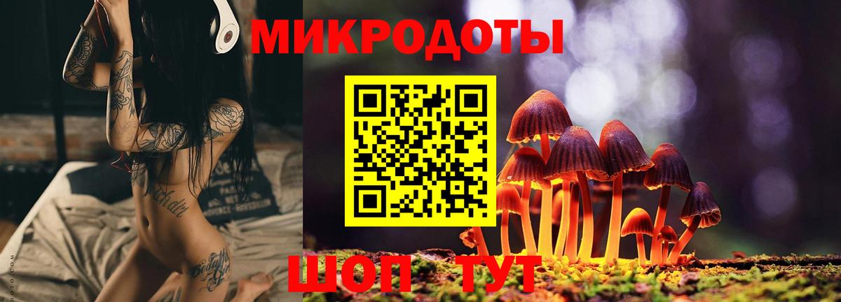 Галлюциногенные грибы Psilocybe  Вход с VPN  Усинск 