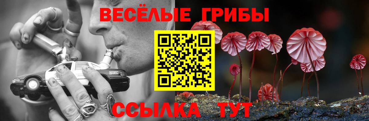 Псилоцибиновые грибы прущие грибы Усинск